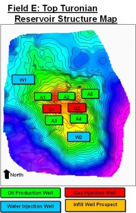 PIC_026_Field_Development_Plan_CompanyD_v02
